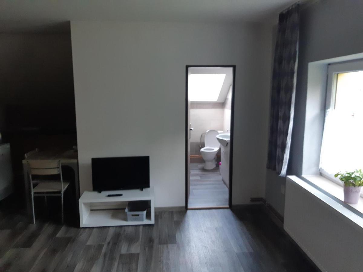Apartmany U Mlyna Velké Losiny Eksteriør billede